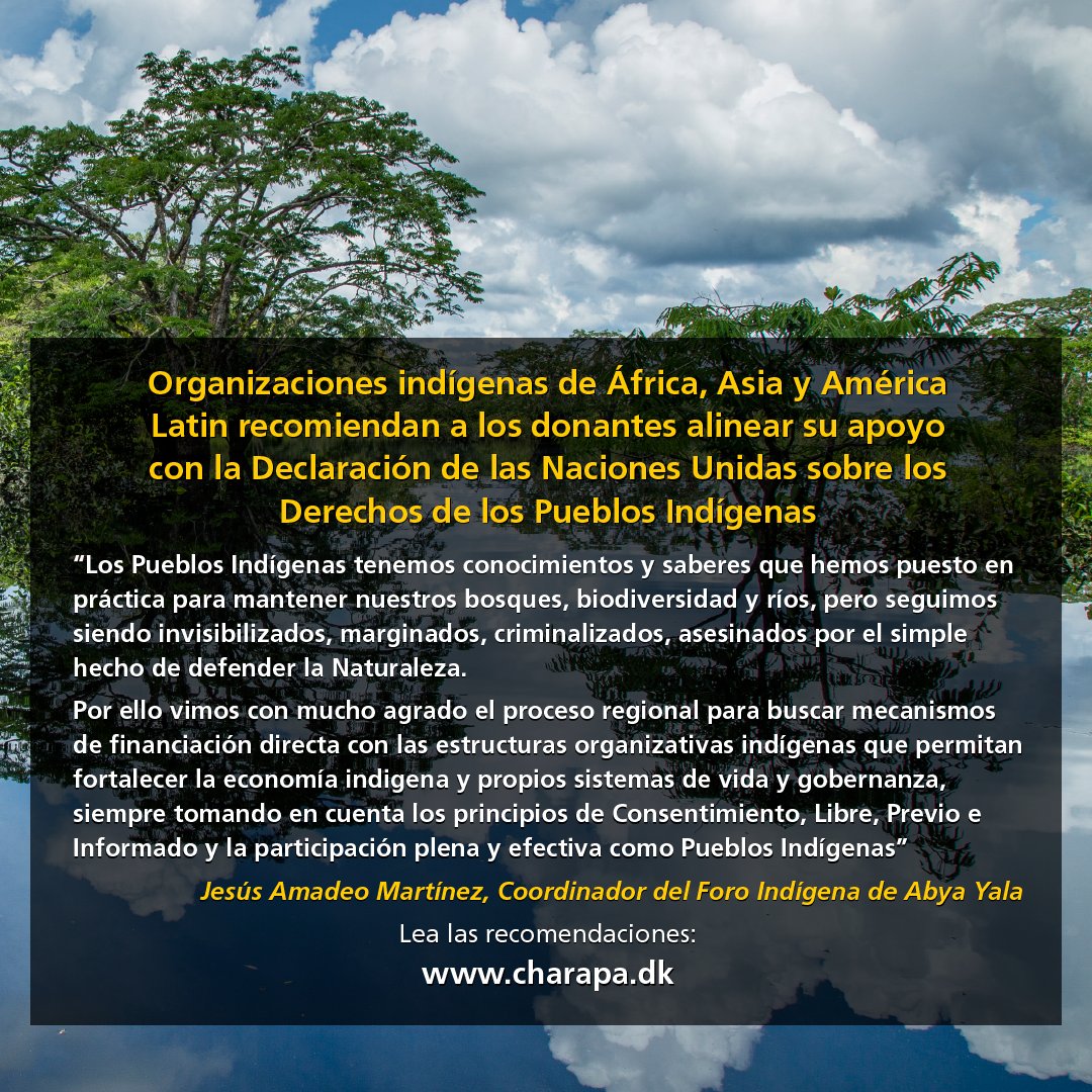 BiFeiring's tweet photo. Lea las recomendaciones de los #PueblosIndígenas para que los donantes dirigen los fondos a los derechos https://t.co/BElhpFdw6E #COP27 https://t.co/k5bTrmsA6B