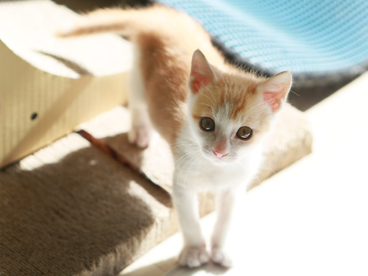 밀린 하숙비를 귀여움으로 내라는디 어쩐다니
내가 가족이 없지 하숙비가 없냐
옛다 귀여움이다