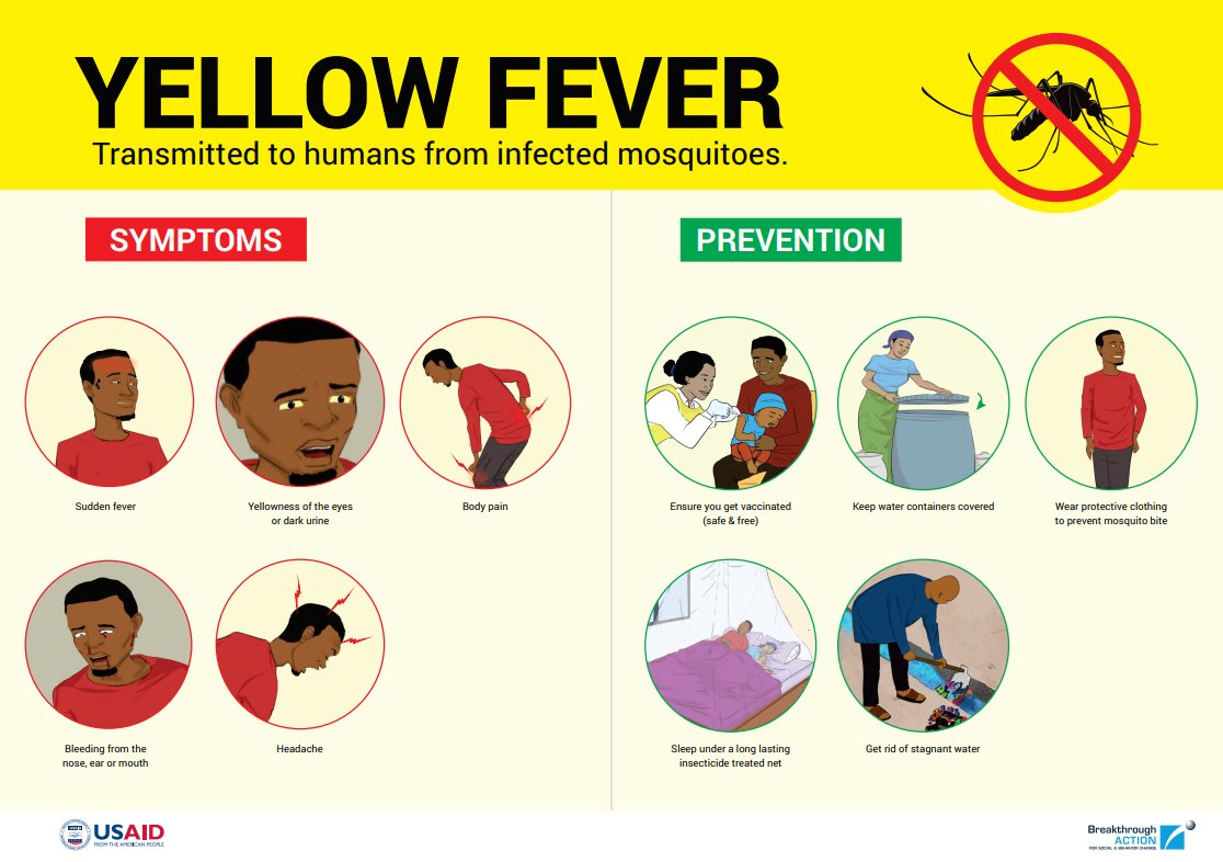 BANigeria's tweet photo. Yellow Fever is a serious sickness people can get from the bite of a mosquito if they have not been vaccinated.
Here are some symptoms of Yellow Fever and ways to prevent it.
#EndYellowFever https://t.co/svWzjoQAWH