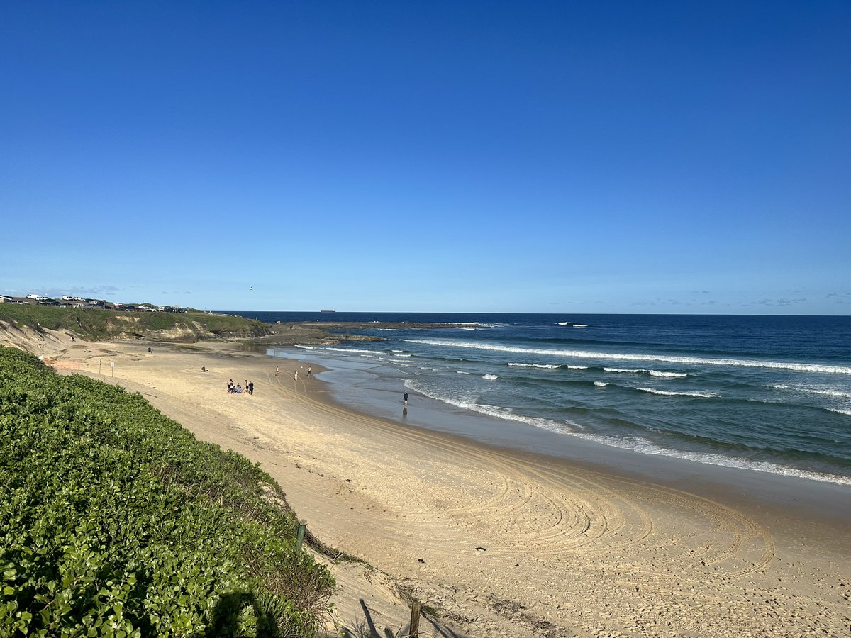 Robyn Christie tweet media