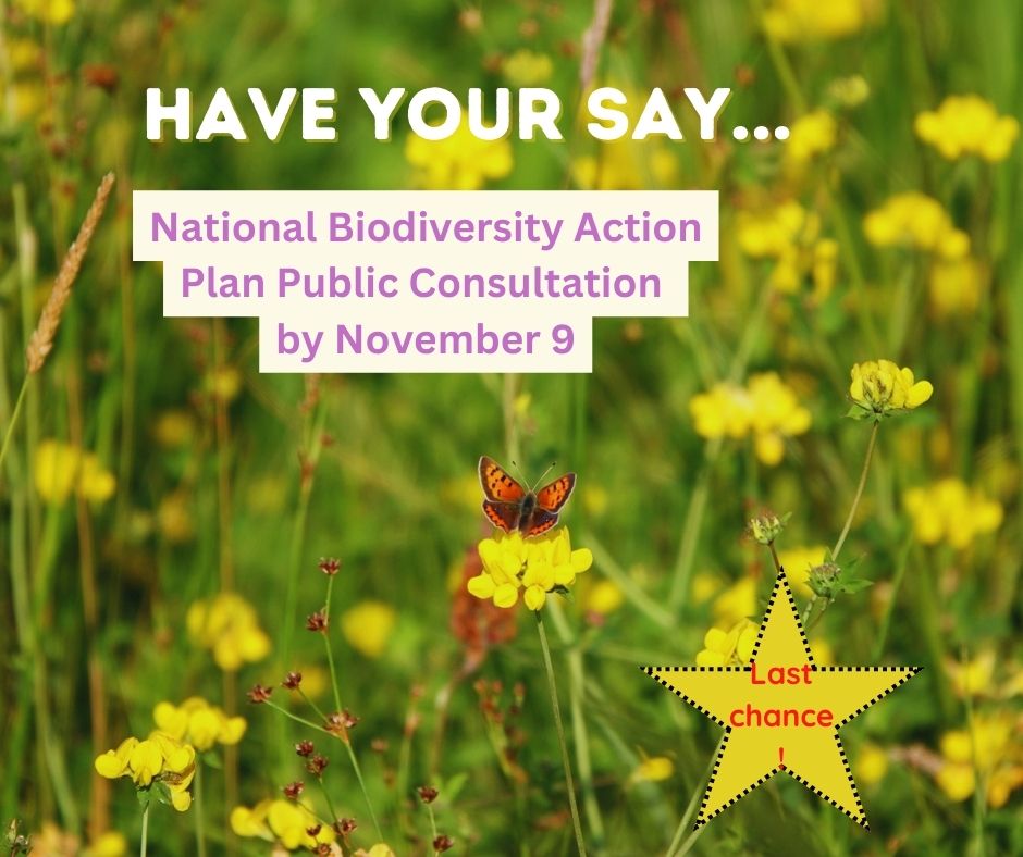 BiodCon_ie's tweet photo. Last chance to submit! We need to enhance &amp; expand resources for biodiversity across all sectors, monitor species &amp; ecosystems and our impacts, implement #NatureBasedSolutions and enforce conservation legislation. Submit your views #ForNature by tomorrow, Weds, Nov 9 #Biodplan22 https://t.co/XQzV8g1eDv