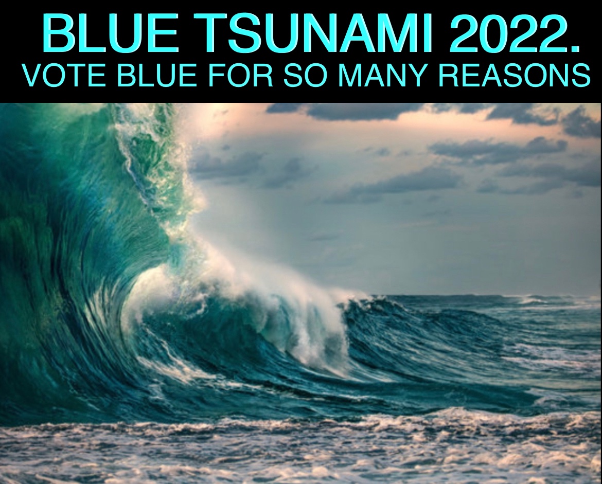 @lavern_spicer #BlueTsunami2022 
#VoteBlueTommorrow