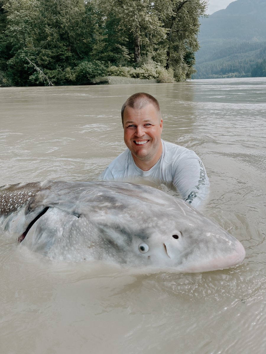 SturgeonSlayers's tweet photo. π€― Pinnacle Conservation.
#SturgeonSlayers #CatchRecordRelease https://t.co/HevP2JHcsJ