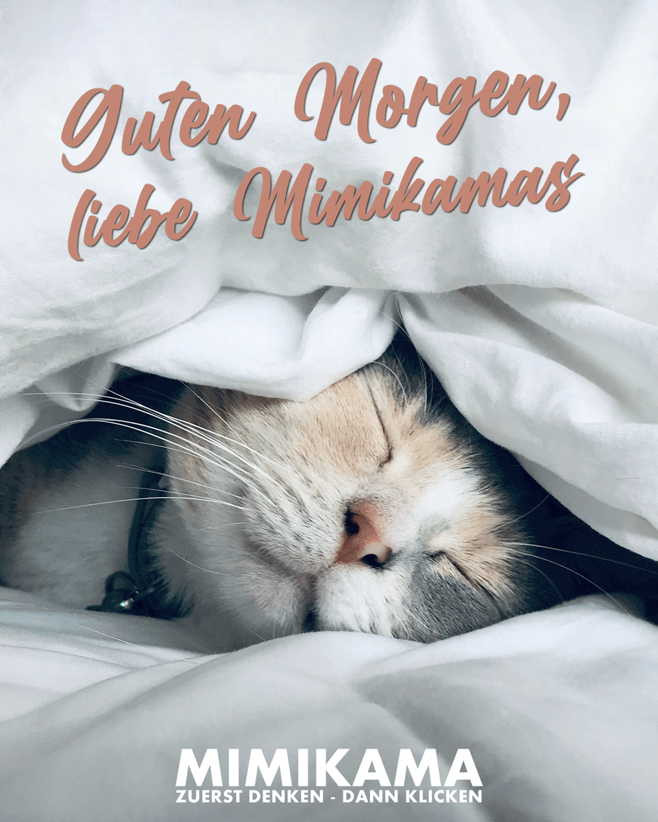 mimikama_org's tweet photo. 😍 Guten Morgen, liebe Mimikamas! 😘 🐱
Die wichtigsten Berichte und Faktenchecks von gestern gibt es, wie jeden Tag, hier zu lesen ▶️  ​https://t.co/fYGxbbxnBt https://t.co/cTmYMZy9fG