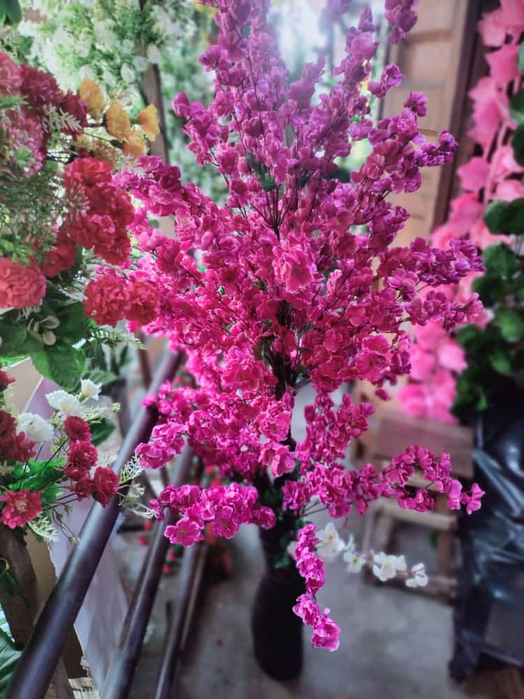 alfroyinteriors's tweet photo. Cherry blossom tree💗
₦45,000 each

To order; Click link👇
https://t.co/nWLEAHhsTK

Pls help RT @nosafk 🙏 https://t.co/A23i7AW0Qc