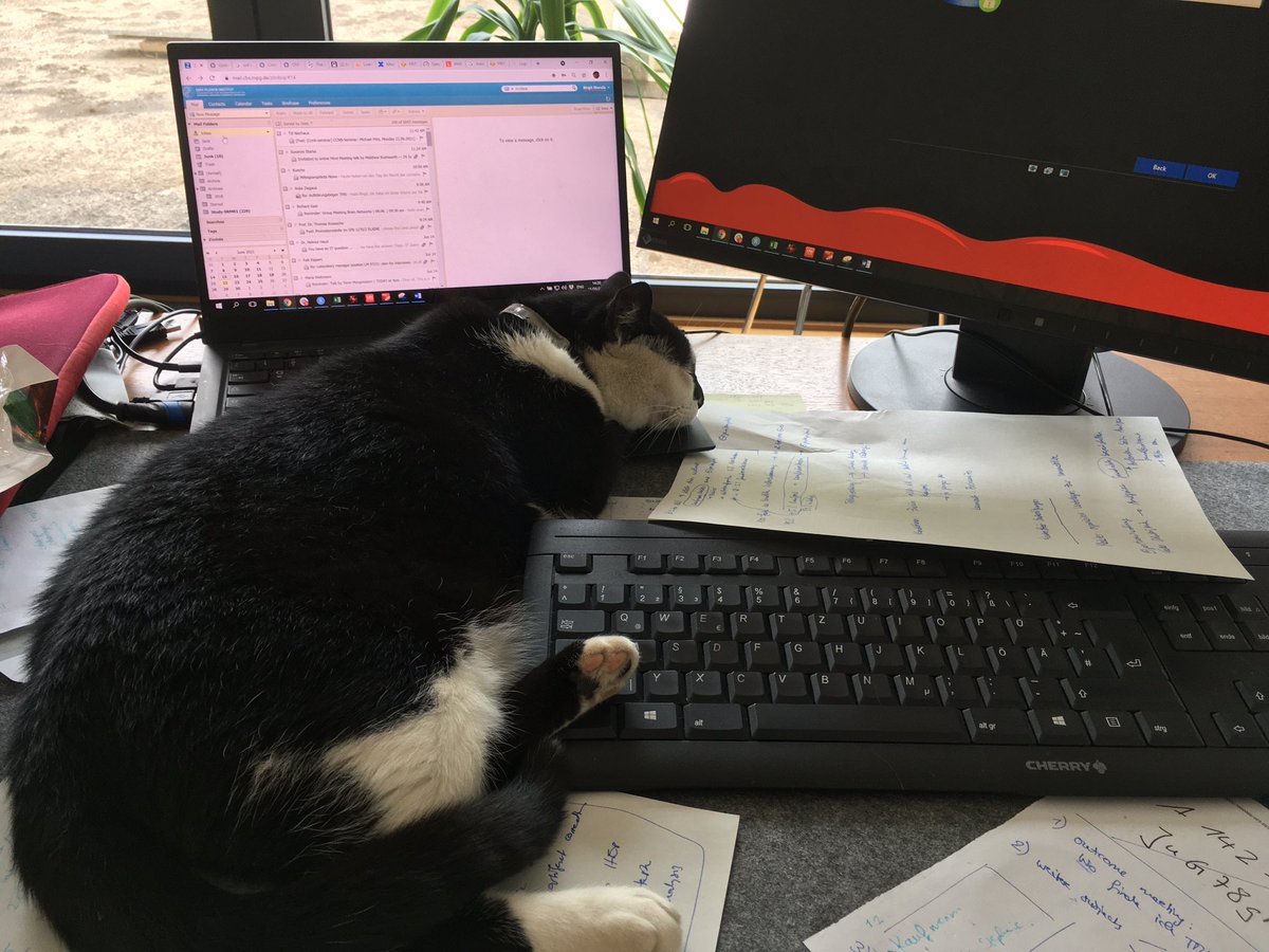 Birgit Nierula tweet media