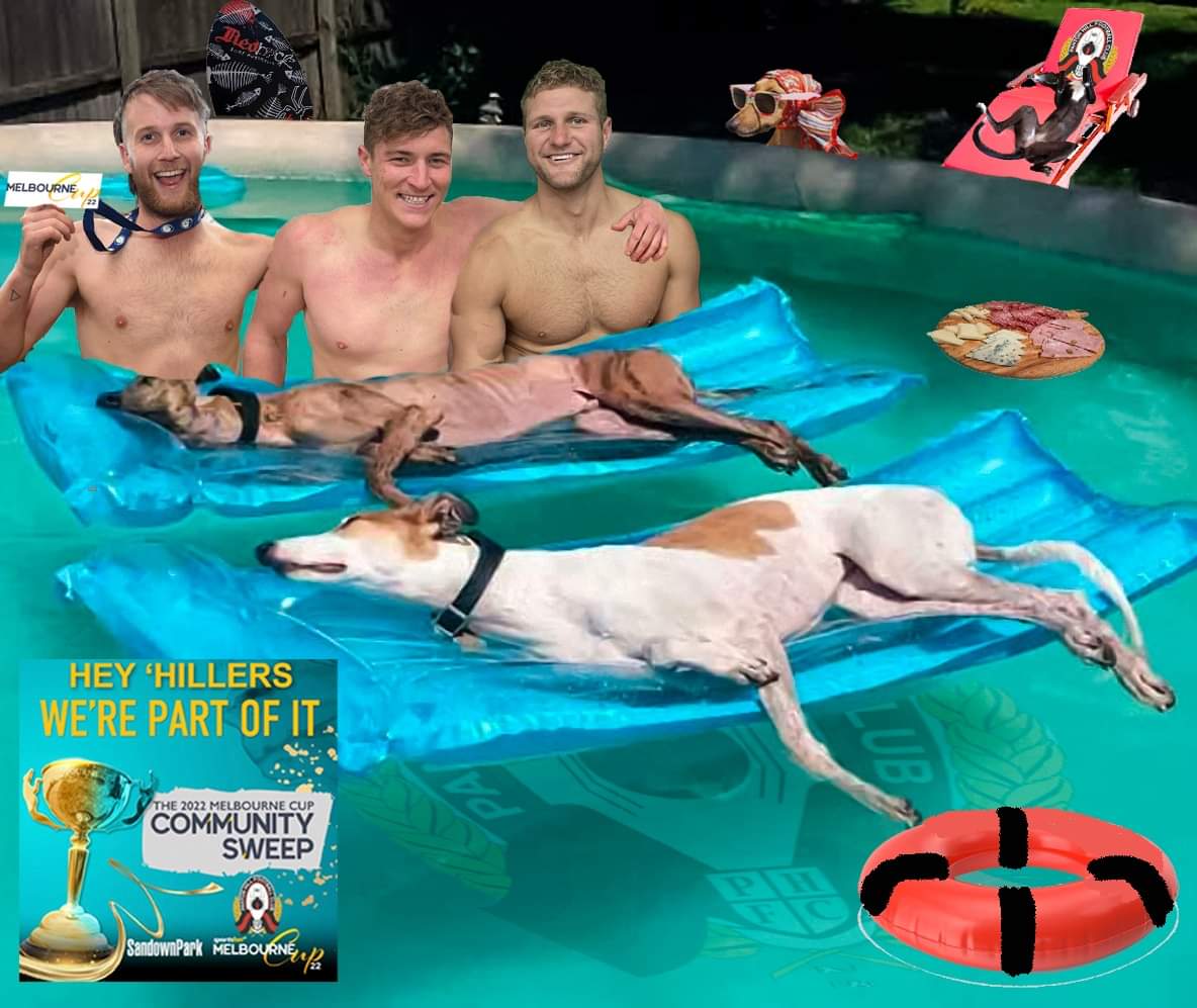 🏆 Our Seniors softened up our opposition for the Nov. 26 <a href="/sandowndogs/">Sandown Greyhounds</a> Melbourne Cup #CommunitySweep with an outing at the Day Spa. Sun, sleep and snacks should do it.
#sandownpark #sandowndogs #greyhounds