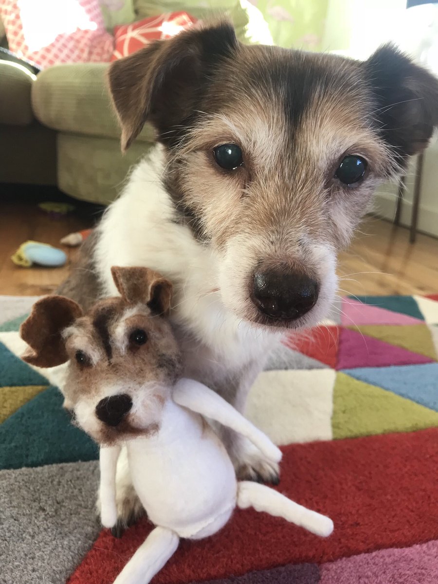 Daisy with her mini me teddy pet model, if you’d like a model of your own dog making lease message me x #earlybiz #tuesdayvibe #DogsOnTwitter #dog #gift