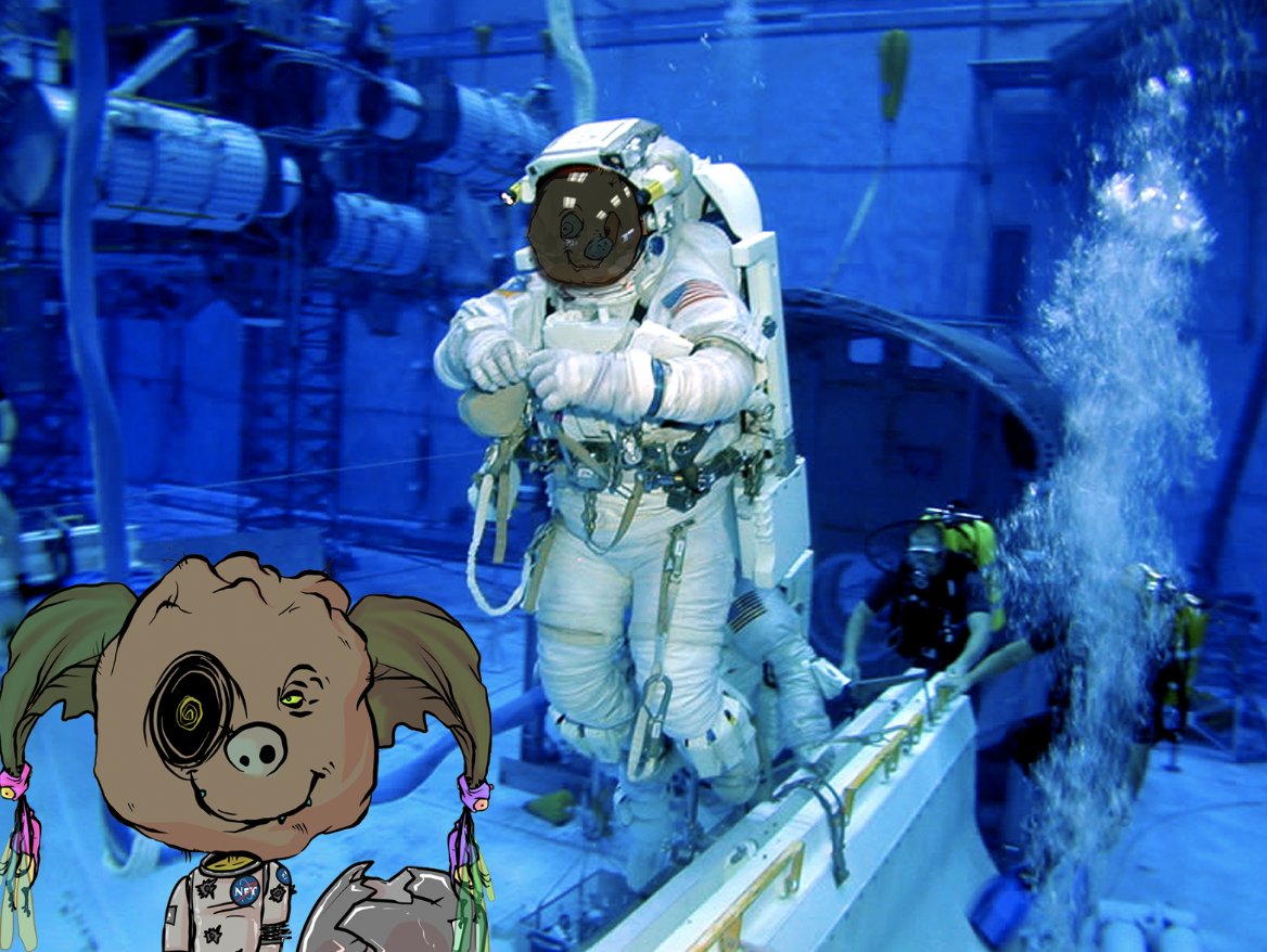 wirelyss's tweet photo. Did yoo know AsStronAuTs train underwater BeeKas it simulAtes Waitlyssness? Remembirdat when yoor portfolio goes under! aₕᵤaₕa 

afₜᵢᵣ ₜᵣaᵢₙᵢₙg cᵤₘₛ ₘₒₒₙ @goblintown @PISS_research https://t.co/TzgFEI3pk1