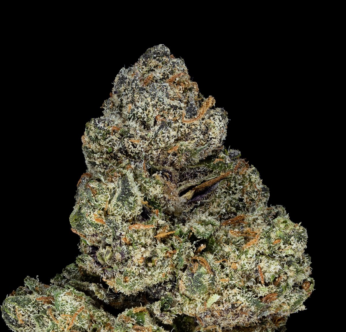 Vegas Runtz
Las Vegas Purple Kush x Runtz
by <a href="/TheBlazinBFLO_/">The Blazin’ Buffalo</a> <a href="/TheBlazinBFLO/">🔥🦬</a> 
Genetics: <a href="/exoticgenetix/">Exoticgenetix</a> 
#cannabis #macrophotography #cannabisphotography #cannabisporn #exoticgenetix #budshots #nugshots #trichomes #macro #macrophotography #productphotography #WeedLovers