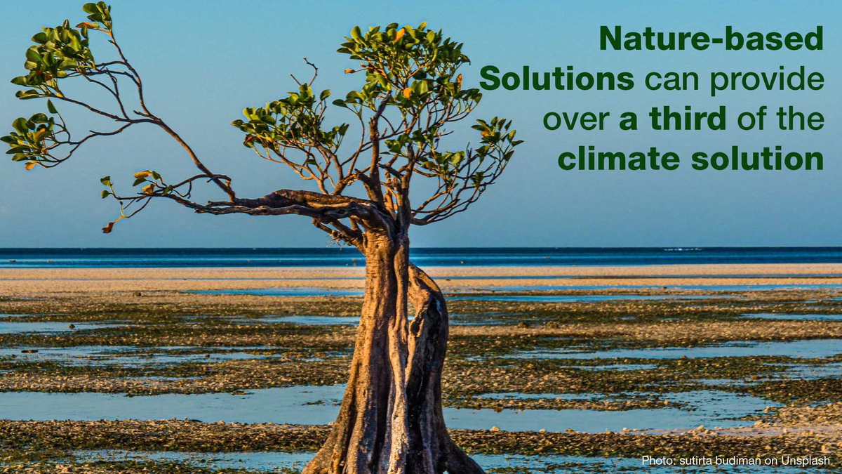 IUCN's tweet photo. #NatureBasedSolutions can be critical in both fighting and adapting to #ClimateChange.
 
Along with ambitious emissions reductions, they must be part of any agreement at #COP27 https://t.co/rz5t0yaSG5 https://t.co/o7zs8NNRcu