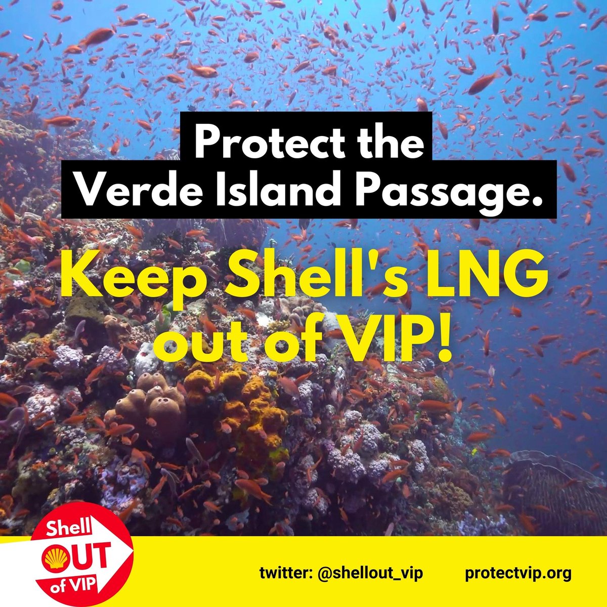 daviddangeloph's tweet photo. 🐟Verde Island Passage is the center of global shorefish biodiversity. @Shell LNG project will put immense pressure on the rich life underwater. Let’s keep #ShelloutofVIP 

👉https://t.co/2qKrb9BHPb
#KalikasanMuna https://t.co/W485gCzKeb