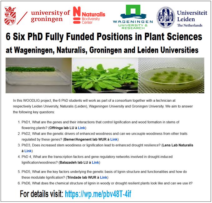 Agristok on twitter 6 six phd fully funded positions in plant