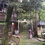 ツイートに含まれる画像