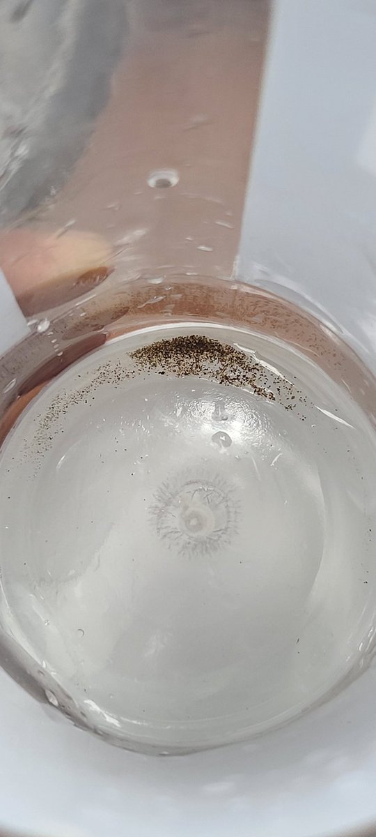 JunedChapti's tweet photo. @AmitShah Stop lying Motabhai. This is tap water of my village Nabipur, Bharuch itself. We have to eat and drink sandy ⌛ items just because of impure water quality. Narmada is just 10k.m. away from my village and we have no access of pure drinking water from 5 years. Shameful!!! https://t.co/7sxWEy9iWe