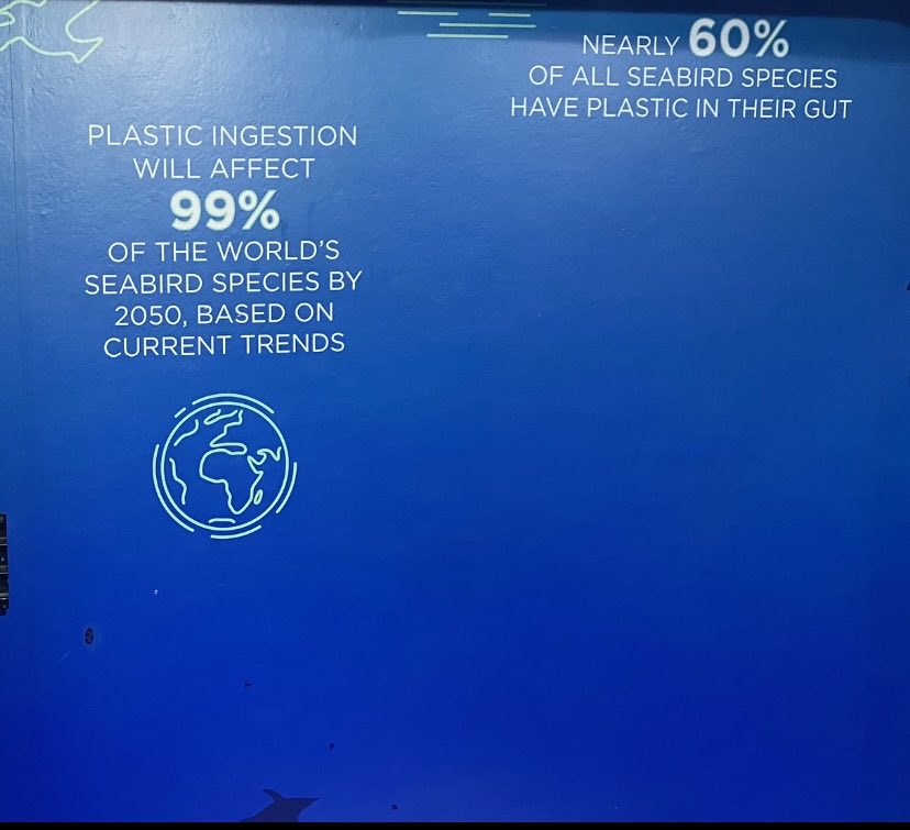 RayJayDC's tweet image. 