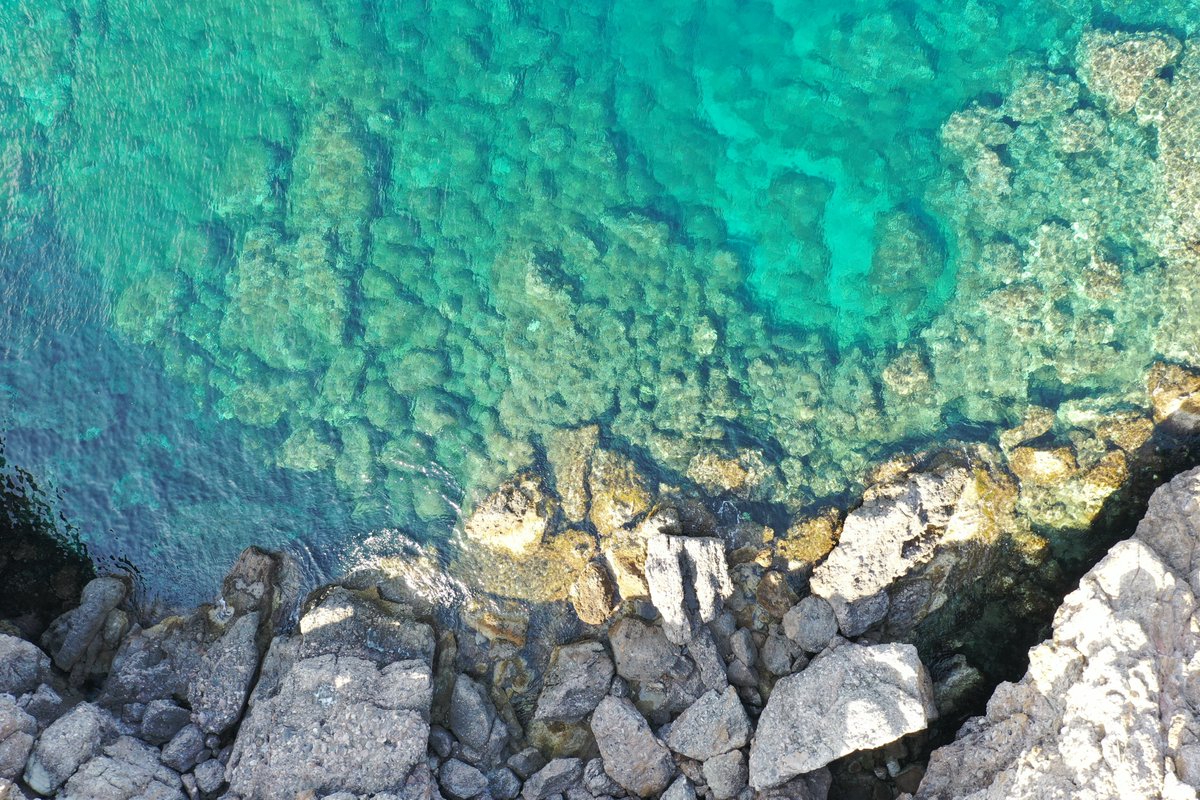 solomilne's tweet photo. Press Release!
Great to share some news from #CoastsUntangled, a project with @ghostdivingorg, supported by @GGGInitiative & @OurOcean Small Grants Program- using drones to monitor #GhostGear in Greece!
#tech4wildlife #drones4good #marinebiology
https://t.co/7jX1aooyT0 https://t.co/zwBldGaaHY