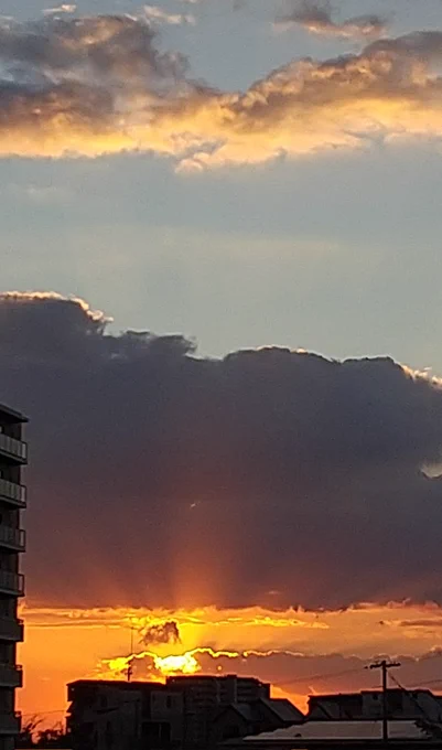 今日の夕方ハナ散歩4時半を過ぎると一気に暗くなりますね。秋の日はイヅナ落としですね。 