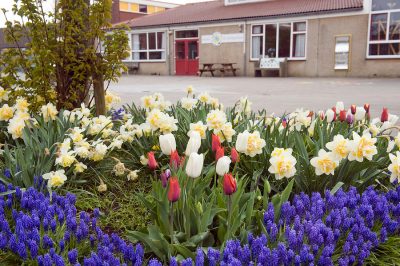 Bulbs4Kids_NL tweet media