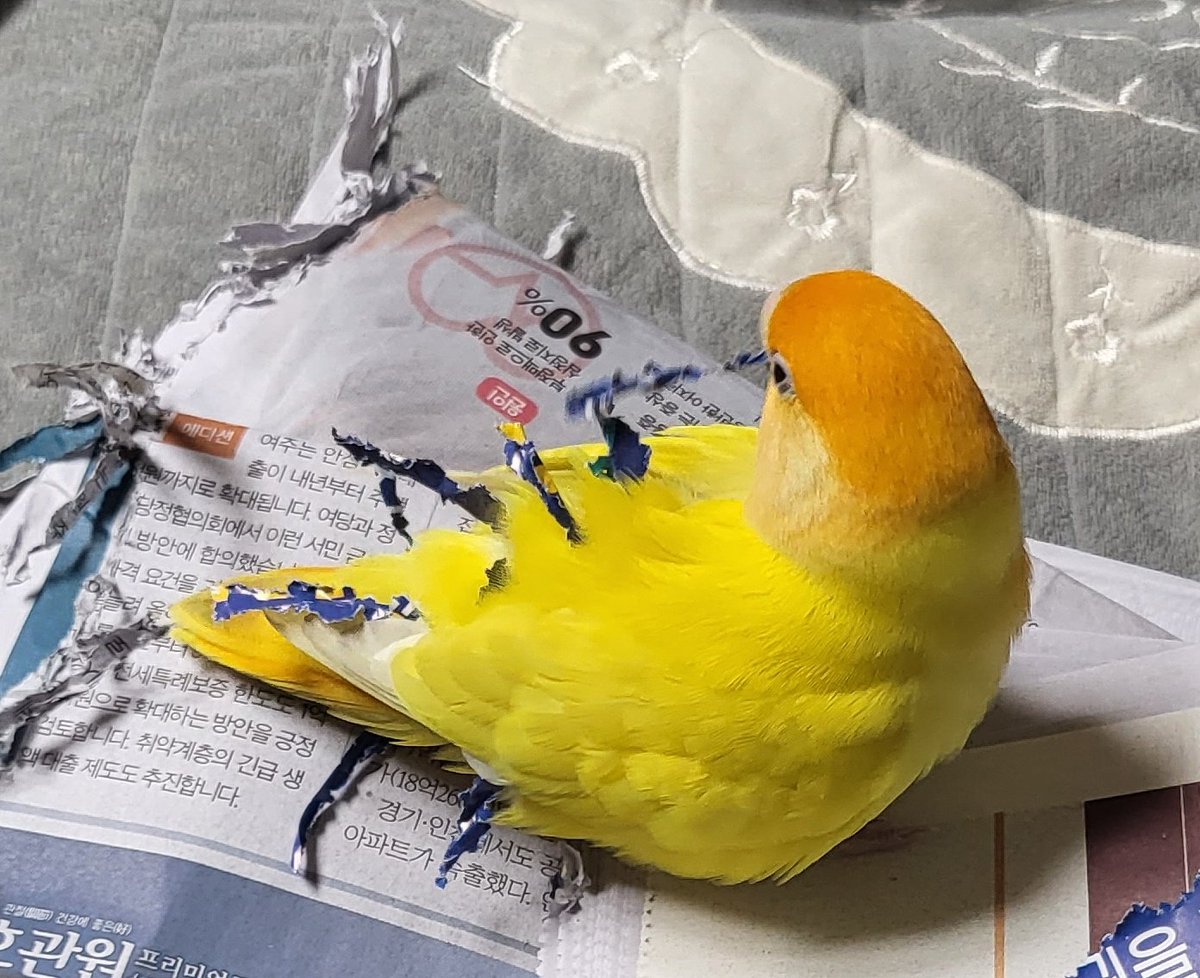 엉덩이에 종이 꽂는 실력이 느셨다