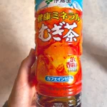 伊藤園の健康ミネラル麦茶はベビー用麦茶よりもコスパが良い⁉