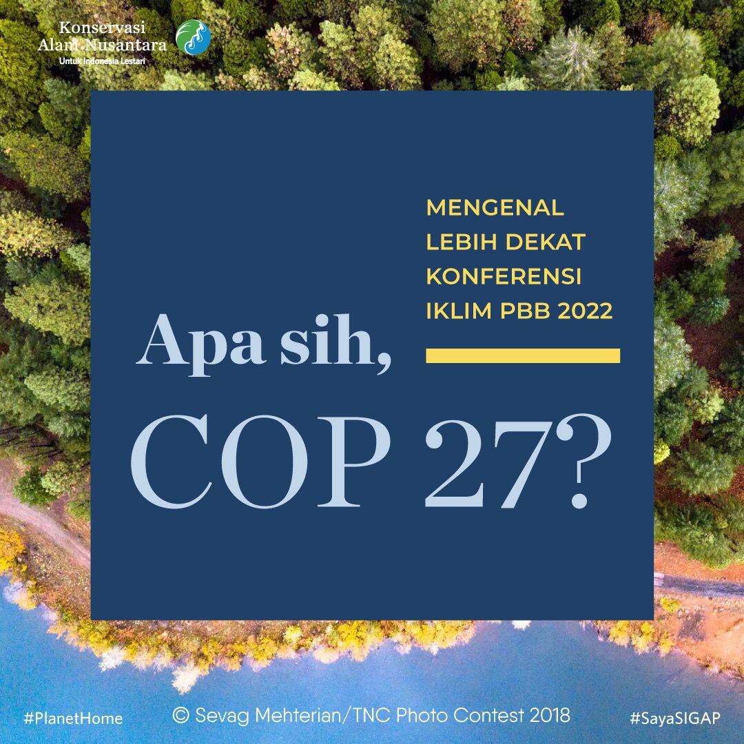 ykan_id's tweet photo. COP27 sudah dimulai, nih
Acara tahunan tentang perubahan iklim ini diadakan di Mesir pada 6-18 November 2022.
Yuk, kenali COP27 dan aksi perubahan iklim terbaru bareng kami!
#PlanetHome
#sayaSIGAP
#YKAN https://t.co/jZm35WhaNH