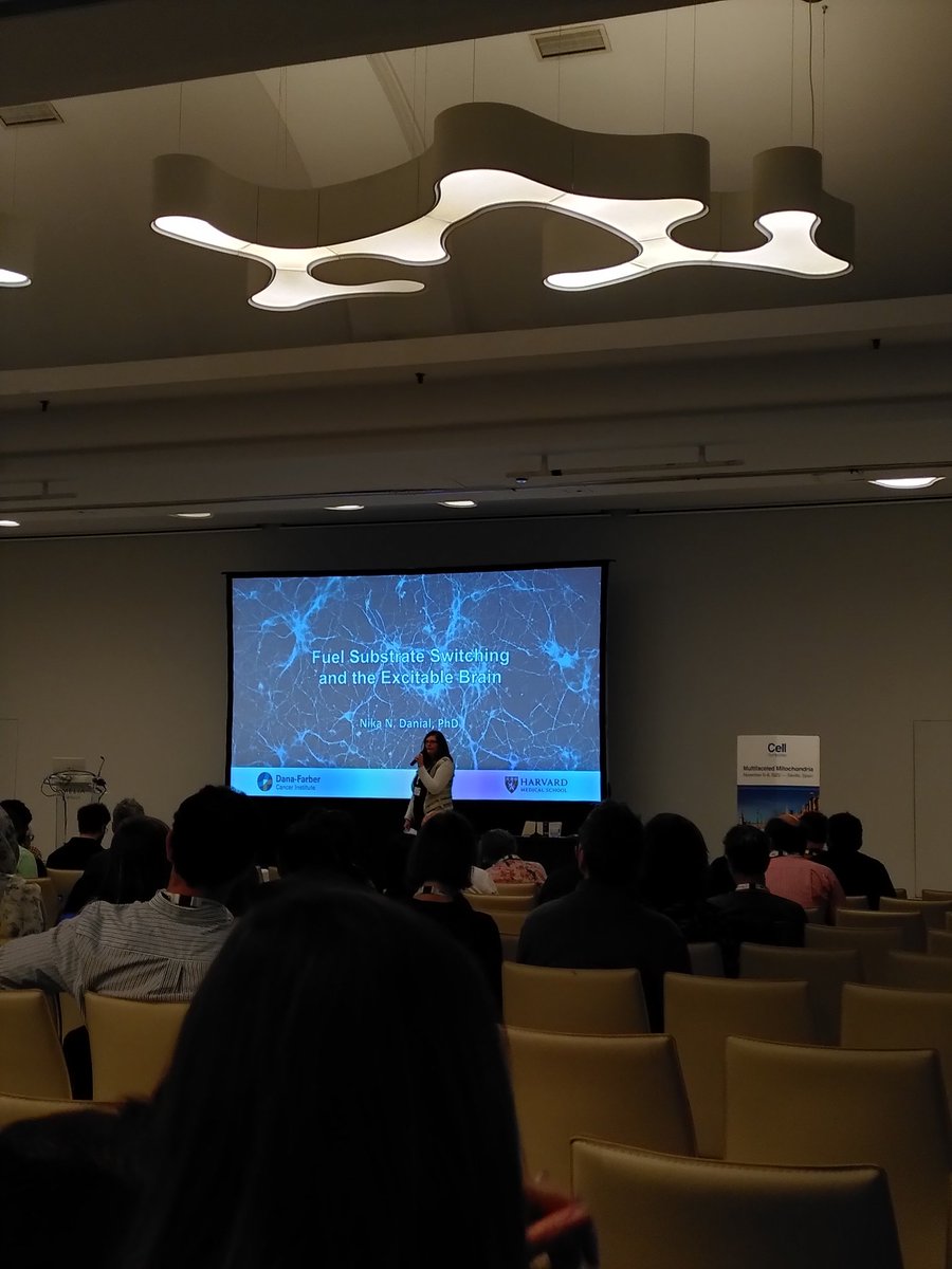 Already last day of #CSMito2022. I'm excited to hear about mitochondria in metabolism, and in disease! I will be presenting my poster on the role of mitochondria in depression at 13:30 (P005), come check it out!