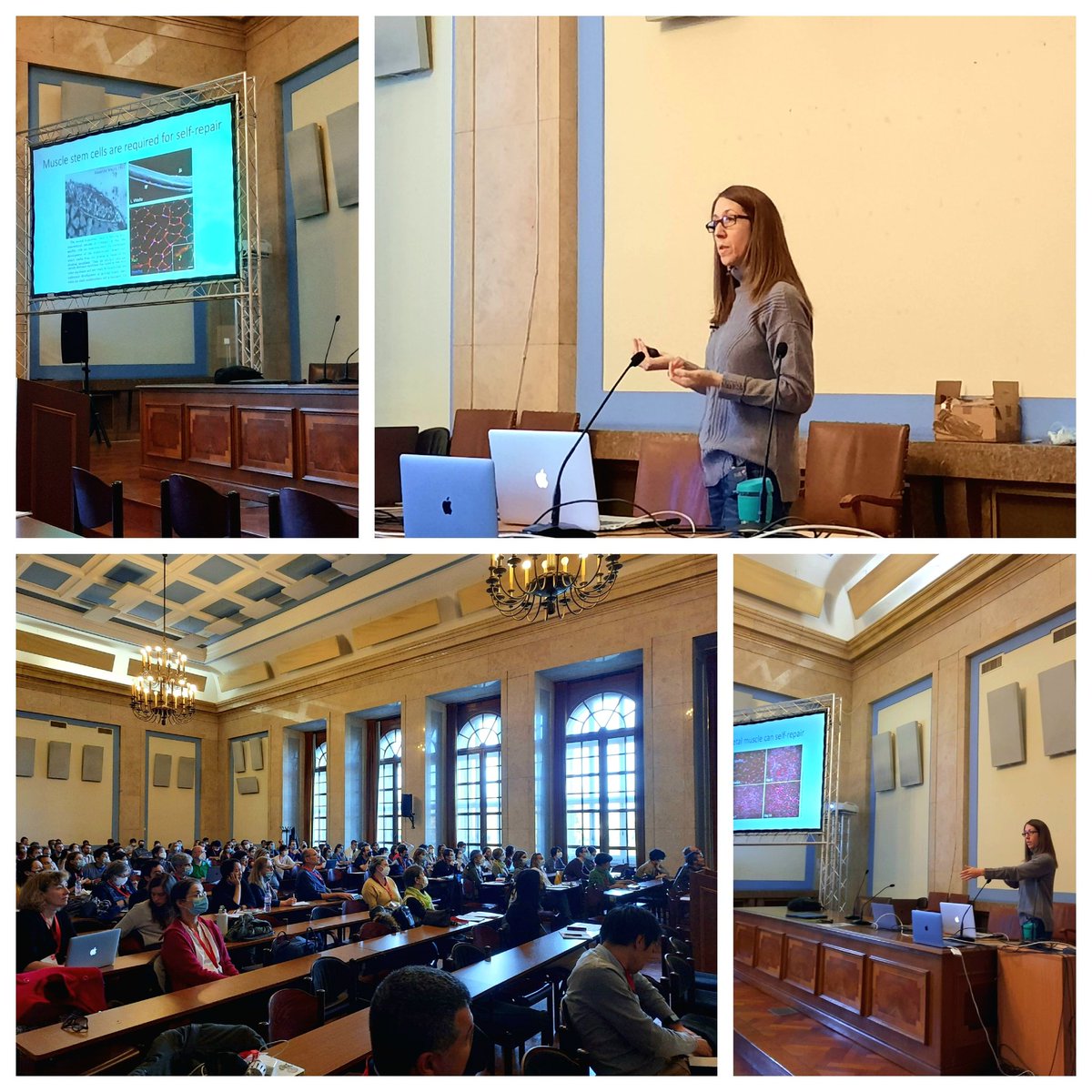 HFSP (@hfsp) on Twitter photo The one and only Penney Gilbert! Research star from <a href="/bme_uoft/">Biomedical Engineering @ University of Toronto</a> and invited lecturer from HFSP at the New Frontiers in Developmental Biology congress is sharing her knowledge about muscle stem cells <a href="/GilbertLab/">Gilbert Lab</a> #HFSPNewFrontiersDevBio #SFDB2022JSDBmeeting #NewFrontiersDevBio The one and only Penney Gilbert! Research star from <a href="/bme_uoft/">Biomedical Engineering @ University of Toronto</a> and invited lecturer from HFSP at the New Frontiers in Developmental Biology congress is sharing her knowledge about muscle stem cells <a href="/GilbertLab/">Gilbert Lab</a> #HFSPNewFrontiersDevBio #SFDB2022JSDBmeeting #NewFrontiersDevBio