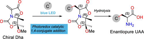 hebusto's tweet photo. Our latest article in @JOC_OL has pages! "Towards Enantiomerically Pure Unnatural α-Amino Acids via Photoredox Catalytic 1,4-Additions to a Chiral Dehydroalanine". From @unirioja #QuímicaUR #QuímicaBiológicaUR https://t.co/iE44JyjrCr https://t.co/PZtKD78ToX
