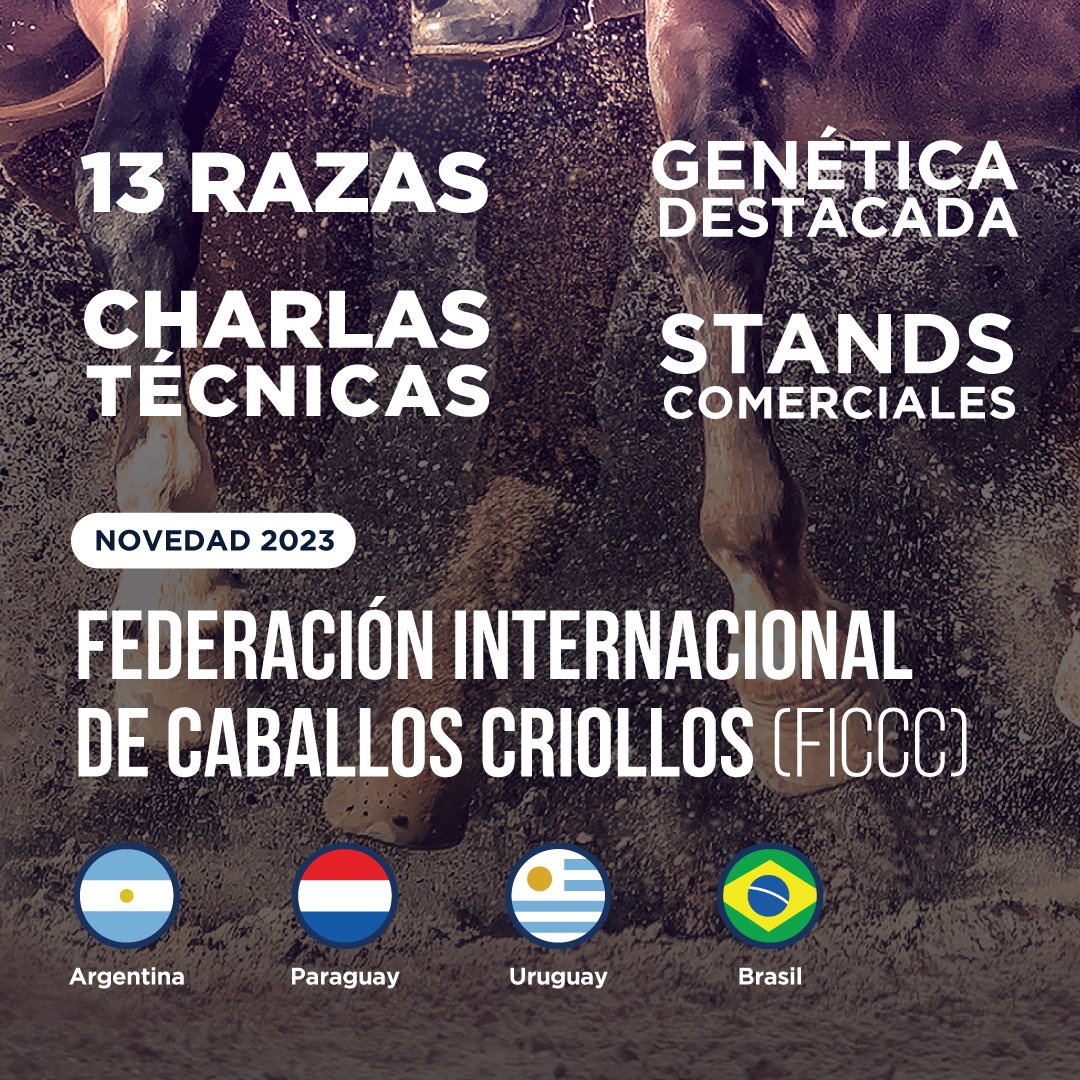 asocdepolo's tweet photo. ¡La novedad del 2023! 🙌🏽 La Federación Internacional de Caballos Criollos (FICC), integrada por Paraguay, Uruguay y Brasil, organiza la Exposición como la sede de la Muestra Internacional Equina de la Raza Criolla 🐎💯

Para más información visita https://t.co/iZAx1MFnCP 🌐 https://t.co/sRdR1pSmYO