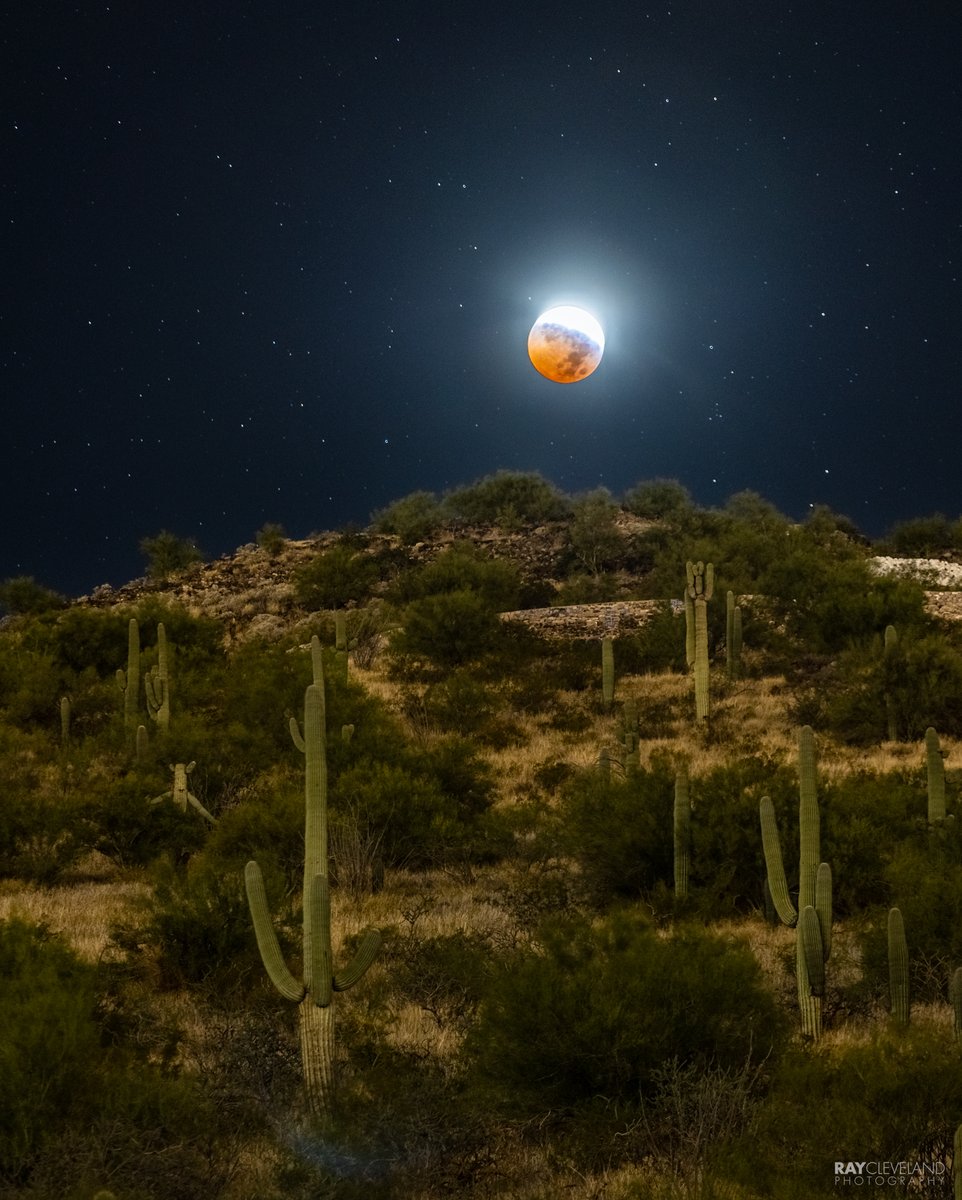 Just after this morning's total lunar eclipse I watched the moon set behind sentinel peak. I captured many photos of the moon this morning, this one really caught my eye as special. #lunareclipse #bloodmoon #beavermoon #sentinelpeak #tucson #photography