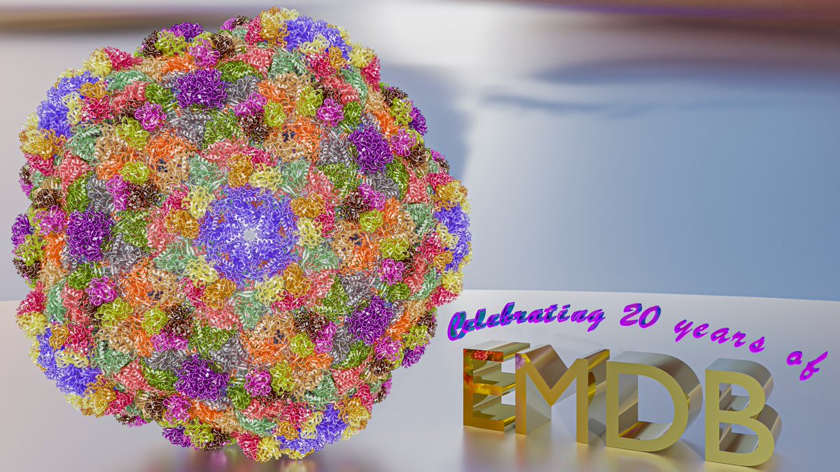 EMDB_EMPIAR's tweet photo. The largest #SingleParticle #CryoEM entry in #EMDB is the #Marine #Siphovirus TW1 (https://t.co/sM2xlHNnqd) at ~12GB! The biggest #Subtomogram Averaging entry is the #Sulfolobus turreted #Icosahedral #Virus bound to Sulfolobus #Pili (https://t.co/XGY6lFKN9K) at ~4GB.
#EMDB20 https://t.co/qz6E8RYedv