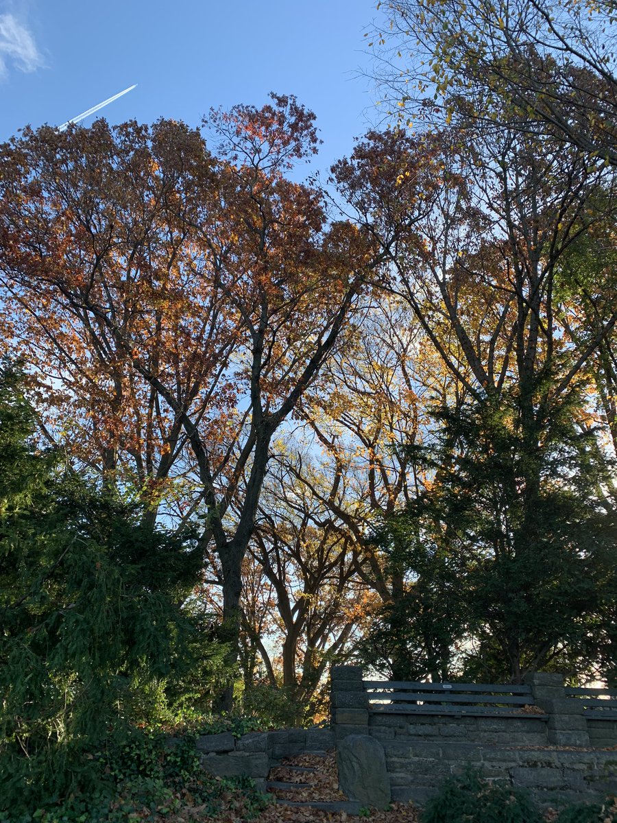 It’s a beautiful morning to #VoteNYC!