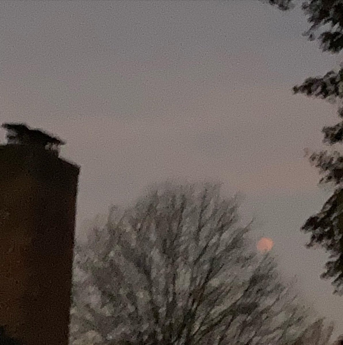CollieCrusader's tweet photo. ๐ ๐๐ Itโs a ๐#FullMoon #ElectionDay and the Billion Dollar ๐ต Lottery ๐ฐ blooper! ๐ณ We totally howled ๐ at the #LunarEclipse this morning! โฐ Got up very early to watch the #FullBloodMoon ๐#TotalLunarEclipse ๐๐๐๐
#roughcollie #howlingatthemoon https://t.co/PonitJb8GC