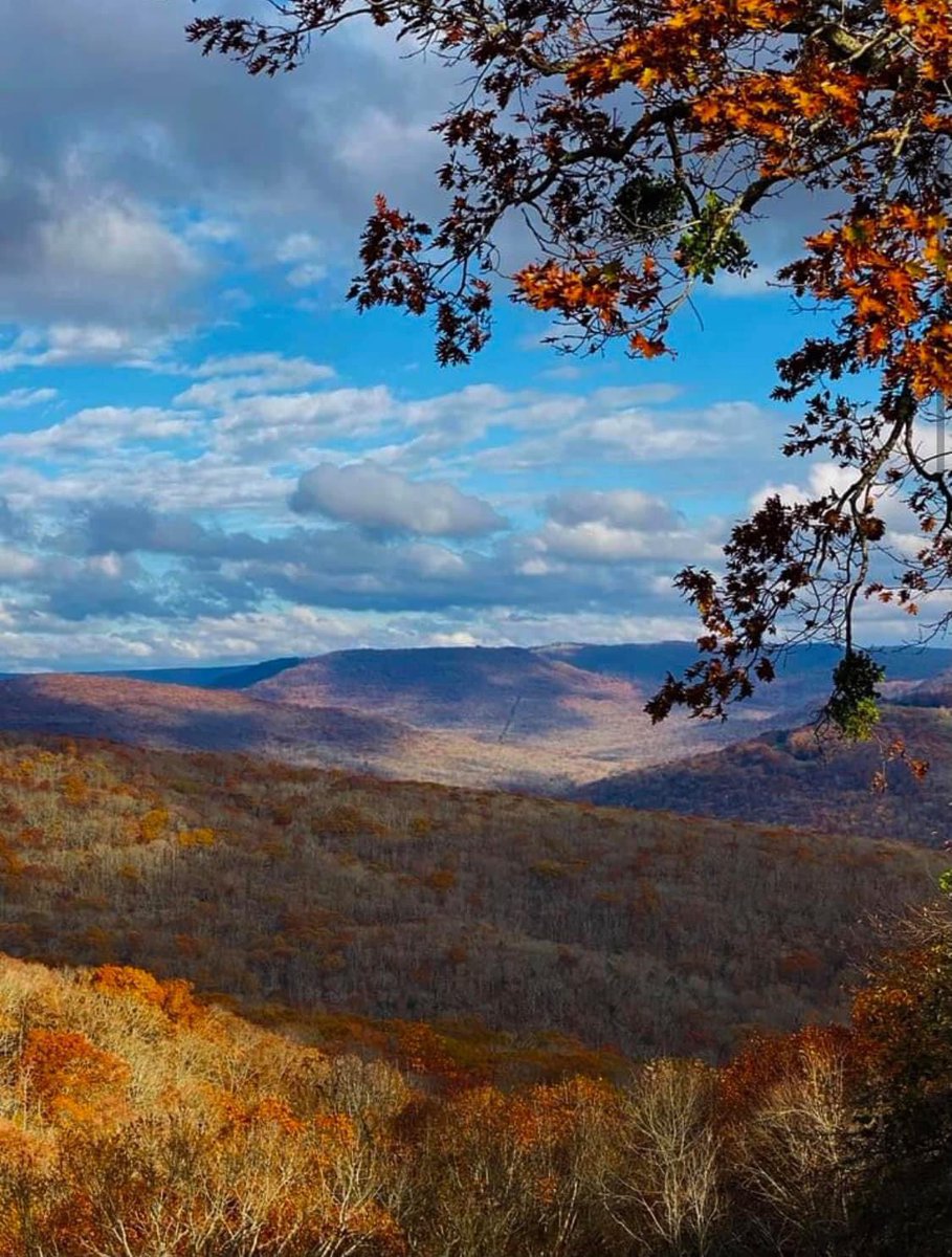 LisasPointofVi1's tweet photo. 2 years ago today Artist Point, Boston Mountains scenic loop in NW Arkansas from #LisasPointofView . https://t.co/CRgWUjtxDp