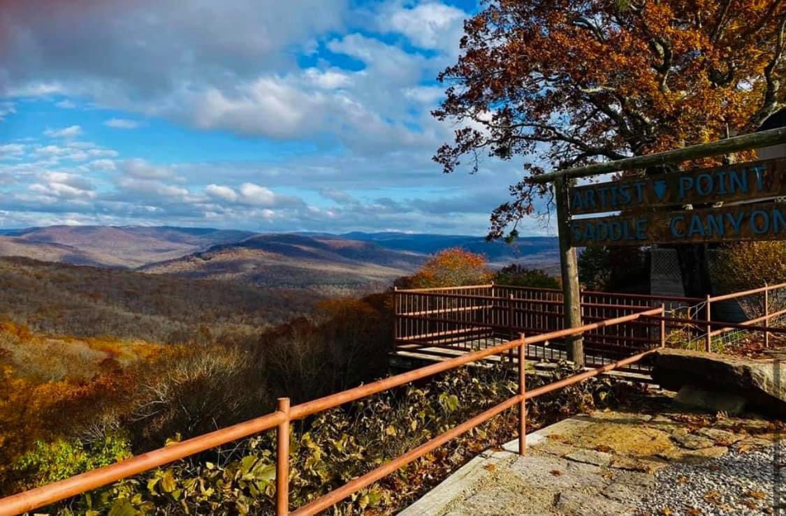 LisasPointofVi1's tweet photo. 2 years ago today Artist Point, Boston Mountains scenic loop in NW Arkansas from #LisasPointofView . https://t.co/CRgWUjtxDp