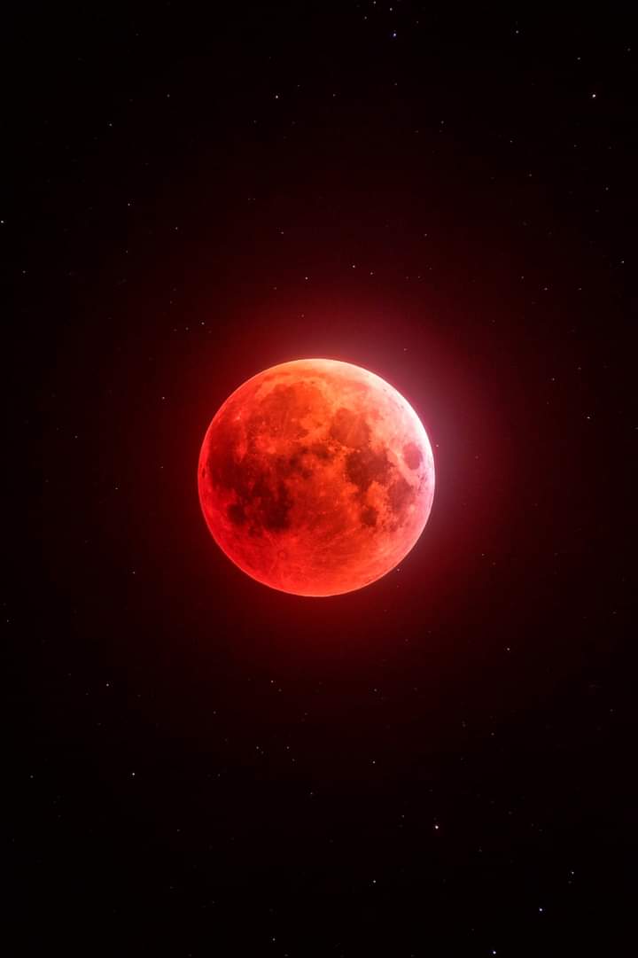 creative138's tweet image. Not my pic. It was too cloudy where I live but look at this amazing Blood Lunar Eclipse from this morning! 🇺🇸❣️
*Courtesy from a fan on JWST fb page