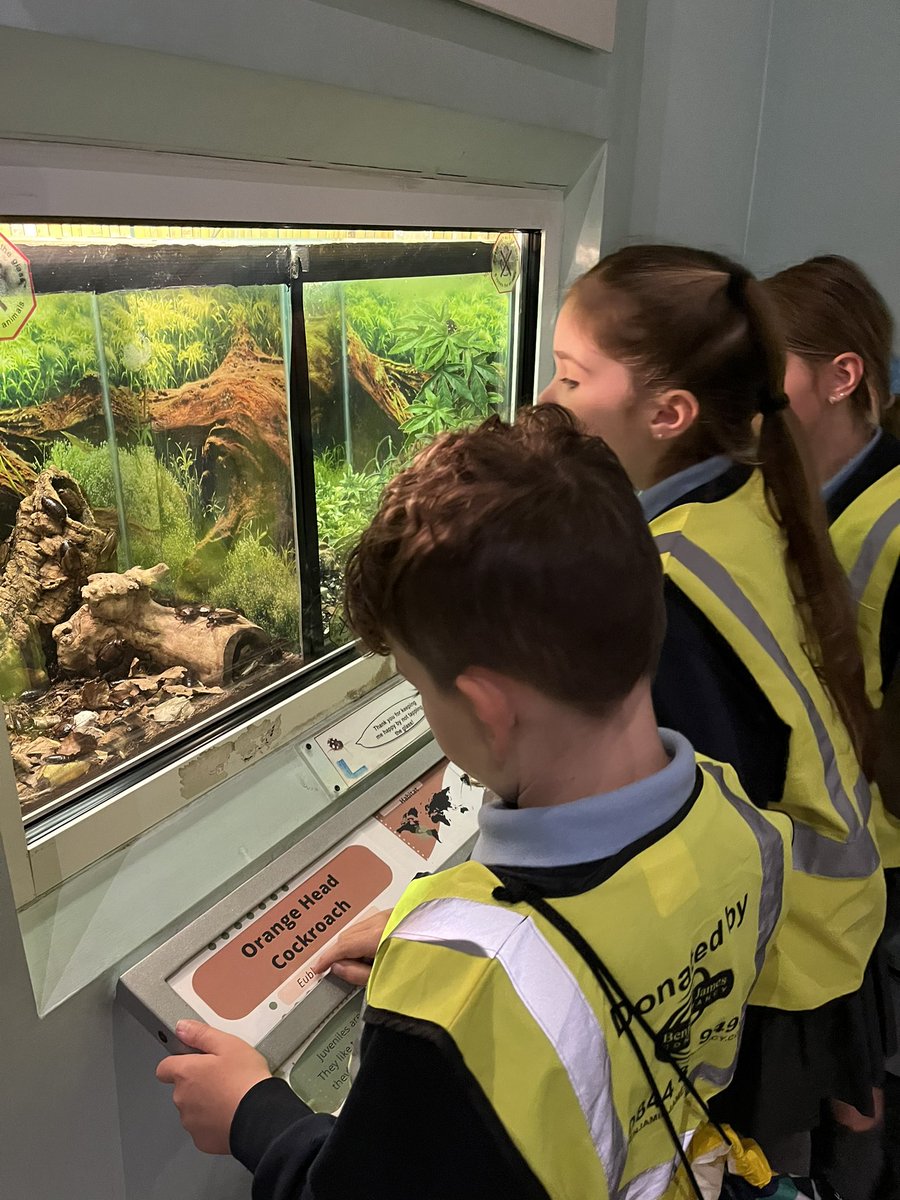 Mrs Johnson tweet media