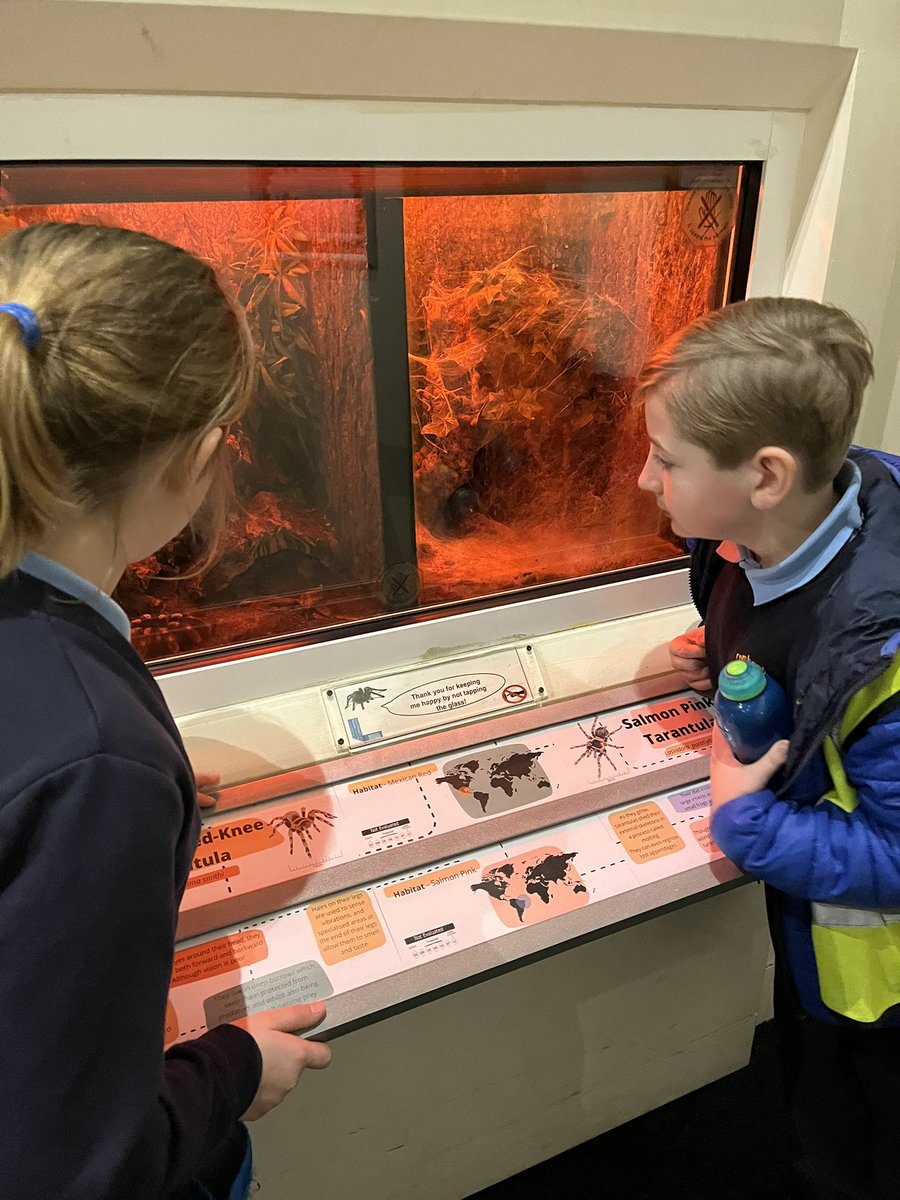 Mrs Johnson tweet media