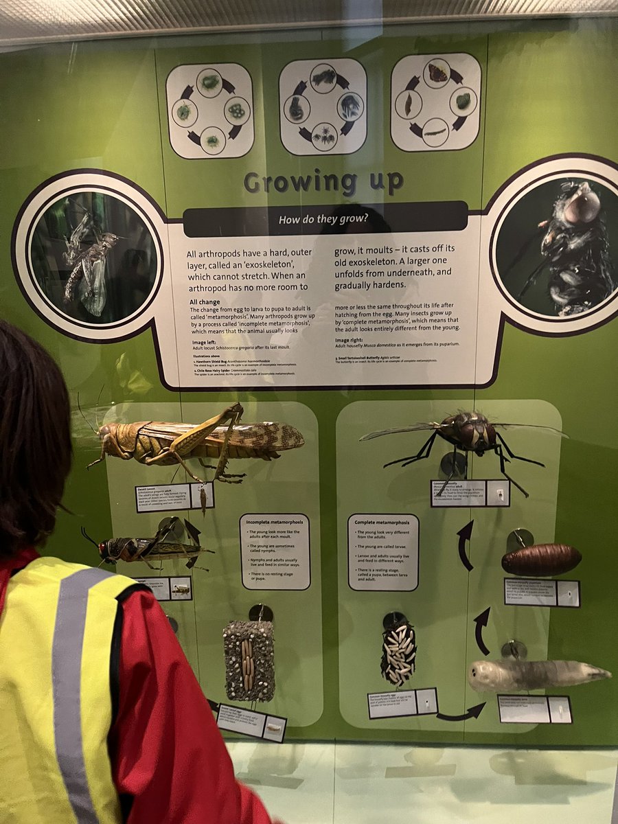 Mrs Johnson tweet media