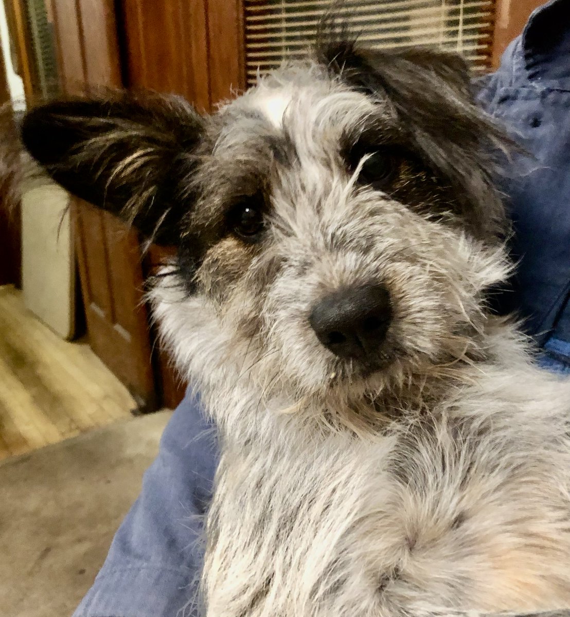 Lori Ringhand tweet media