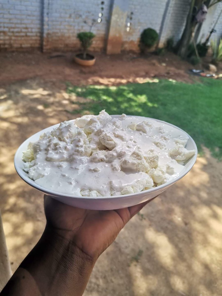1 of the Cakes that fooled me too😂 had I not made this cake myself I wouldn't believe that this not Phuthu and there's no milk here.

Bowl of Chocolate CAKE

It's a piece of CAKE
Whatsapp:065 947 2728