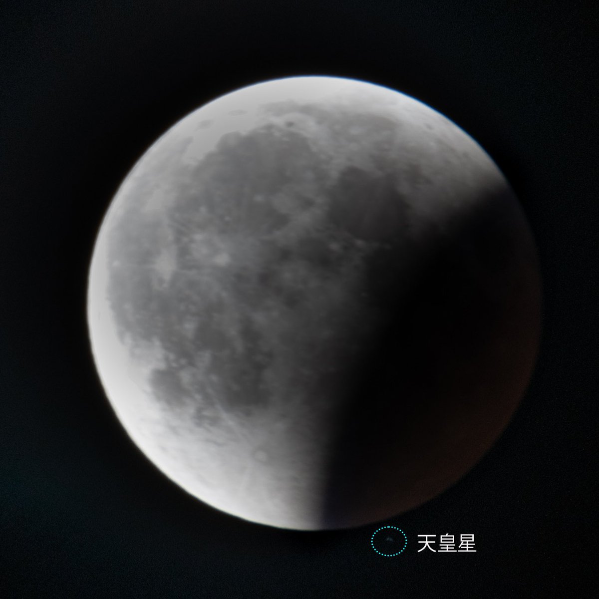 yujiin123's tweet photo. 皆既月食と天王星食撮りたかったけど、天王星小さ過ぎて見つけた時には終わってた😂

1枚目皆既月食、2枚目ただの月食😭
#皆既月食 https://t.co/a4q8r7dwJV