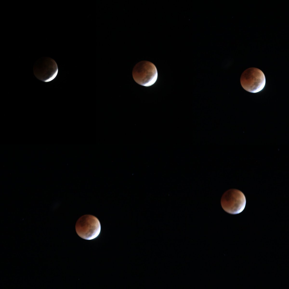 MotionlessAmity's tweet image. #TotalLunarEclipse2022 #TotalLunarEclipse #MyPhoto
