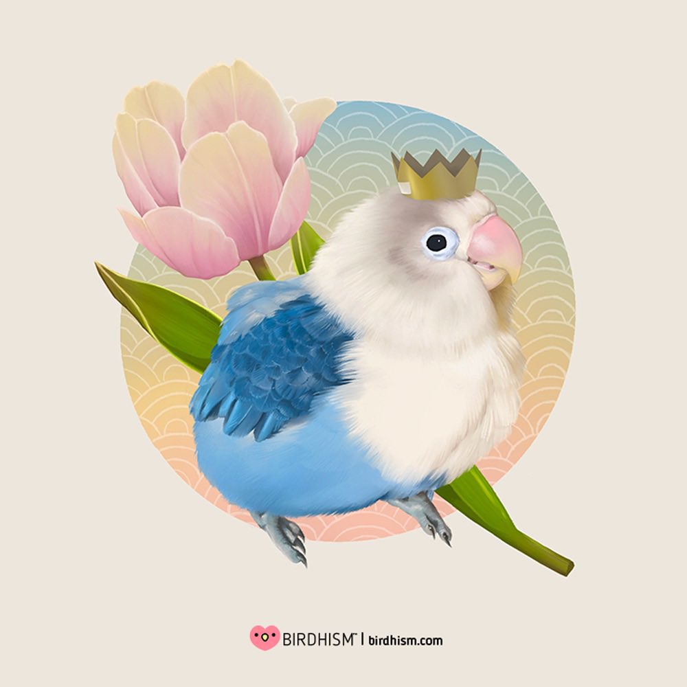 「I like to draw birbs #artistsontwitter 」|Birdhism 💖 Shop Openのイラスト