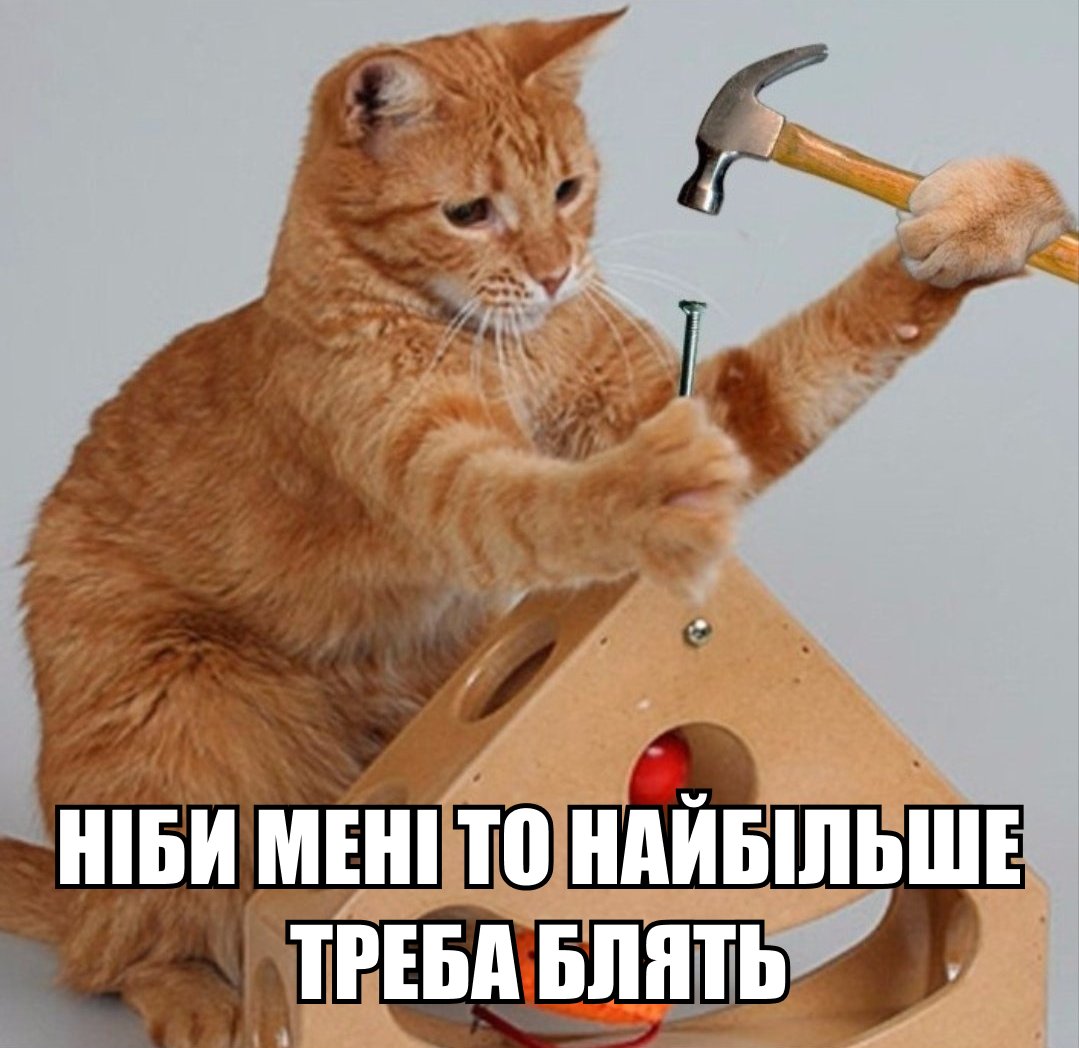 Ол өзіне минет порносын береді