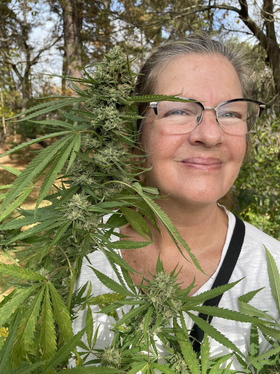 marlene_artist's tweet image. ##freetheweed #federallegalization #healingplant