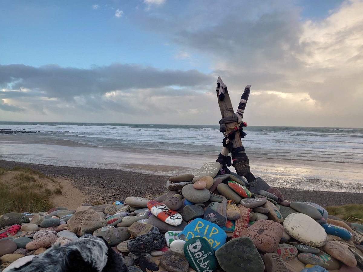 #Dobby 's grave is a shining light on a stormy day #Pembrokeshire  #HarryPotter