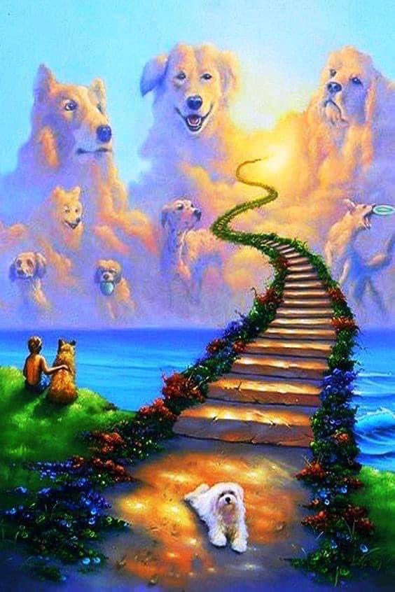 eric_lavoieric2's tweet image. J’aime ça