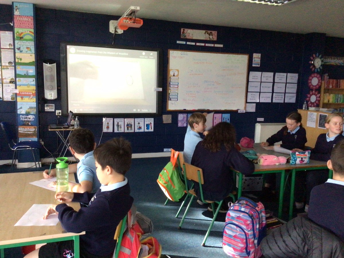 StMultoseNS's tweet photo. @StMultoseNS are very proud to be taking part in the #ClimateandNatureSummit run by @IrishSchSusty. So far, we have learned about the Irish rainforests and how to draw woodlice! #COP27 https://t.co/mPYOnZKr4c